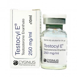 Testocyl E 1 флакон/10 мл (250 мг/1 мл)
