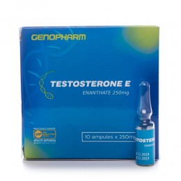 Testosterone Enanthate 10 ампул (250 мг/1 амп.)