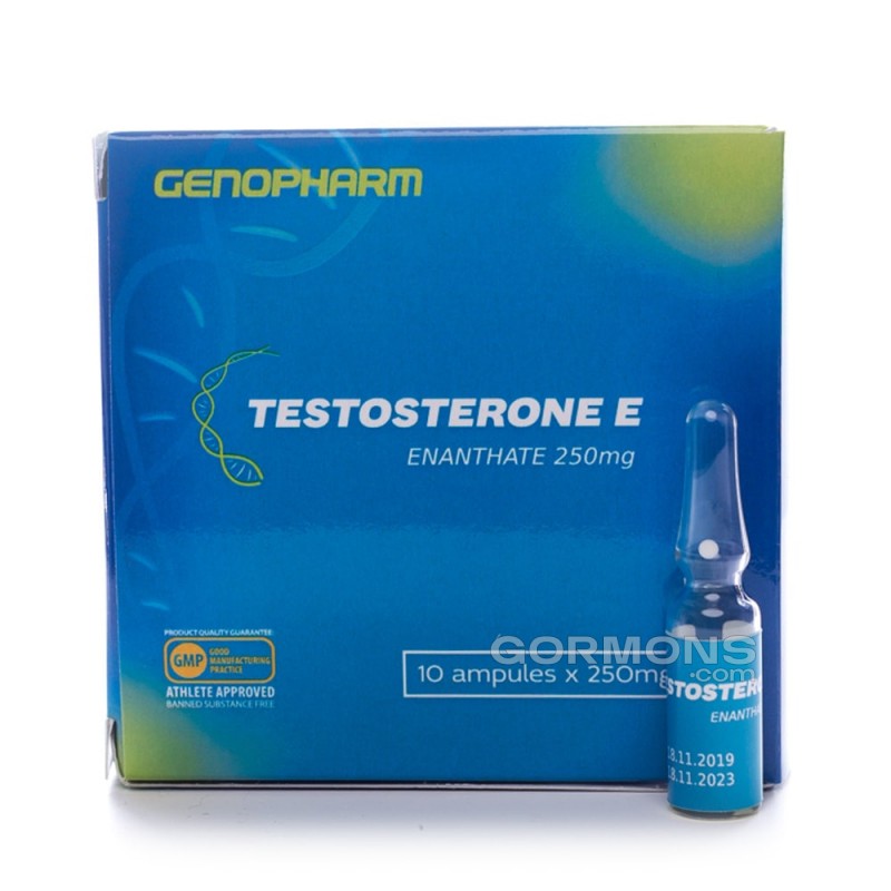 Testosterone Enanthate 10 ампул (250 мг/1 амп.)