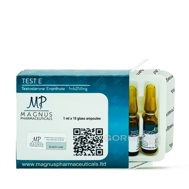Test E 1 amp (250 mg/1 ml)