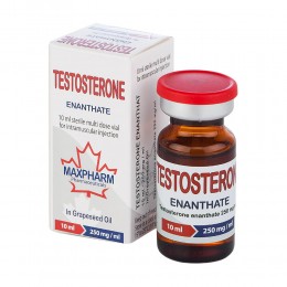 Testosterone Enanthate 1 vial/10 ml (250 mg/1 ml)