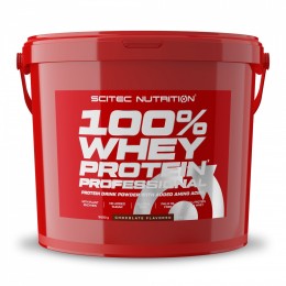 Протеїн Scitec Nutrition Whey Protein Professional 5000 g